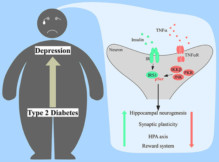 According to a study, depression can directly contribute to type 2 diabetes